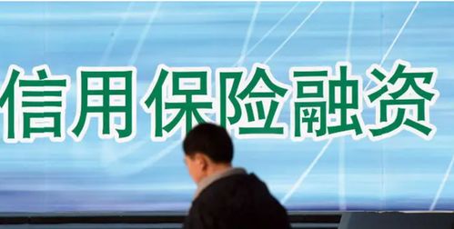 信用保證險業績經歷 過山車 去年保費大增80 至112億元,增信功能受重視