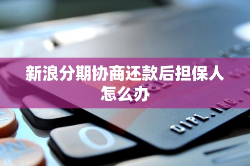 新浪分期協(xié)商還款后，信用擔(dān)保人如何應(yīng)對(duì)與解除擔(dān)保責(zé)任？